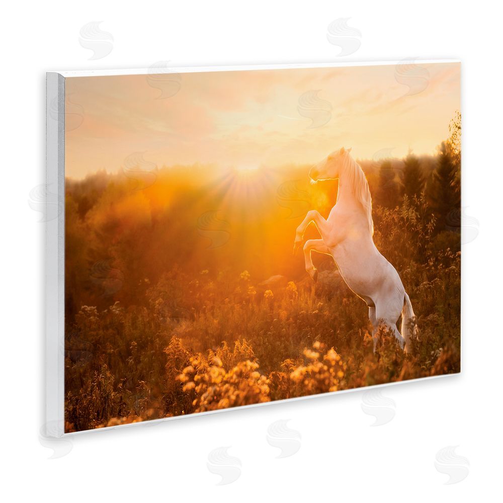 PH Burchett Standing Horse in Rising Sun Wall Plaque Art Print