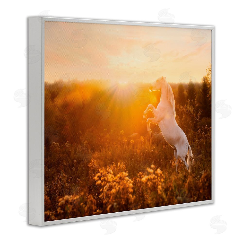 PH Burchett Standing Horse in Rising Sun White Framed Giclee Wall Art Print