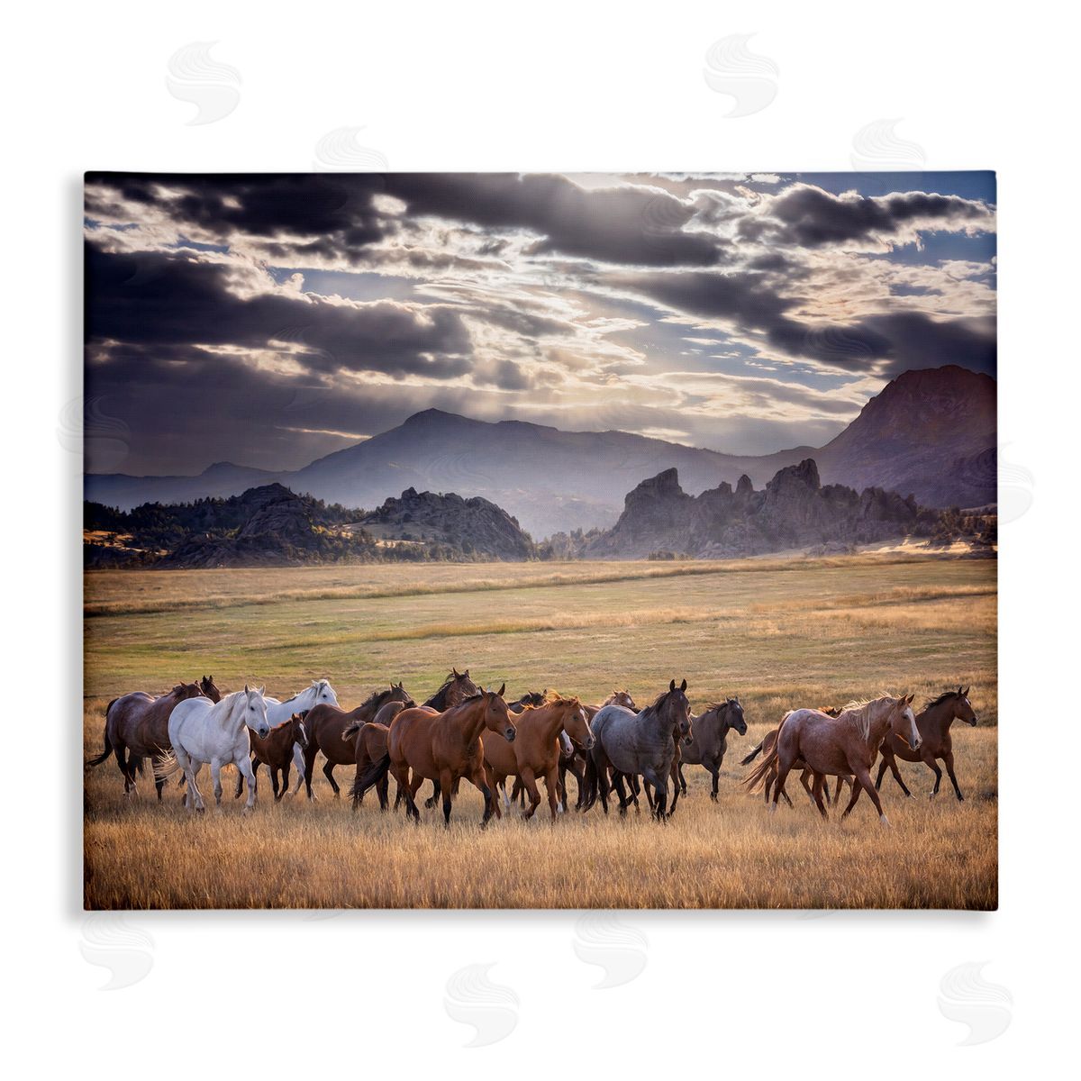 stupell industries PH Burchett | Galloping Horses Cloudy Mountains Wall Art