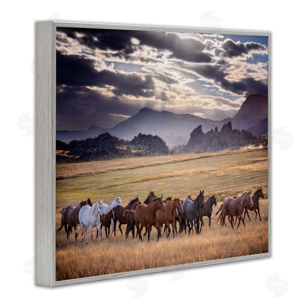 PH Burchett Galloping Horses Cloudy Mountains Gray Framed Giclee Wall Art Print