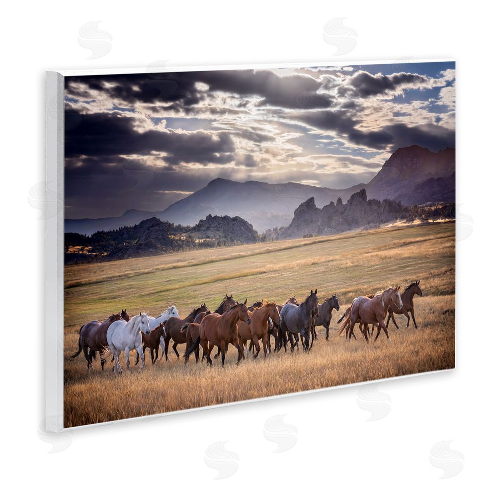 PH Burchett Galloping Horses Cloudy Mountains Wall Plaque Art Print
