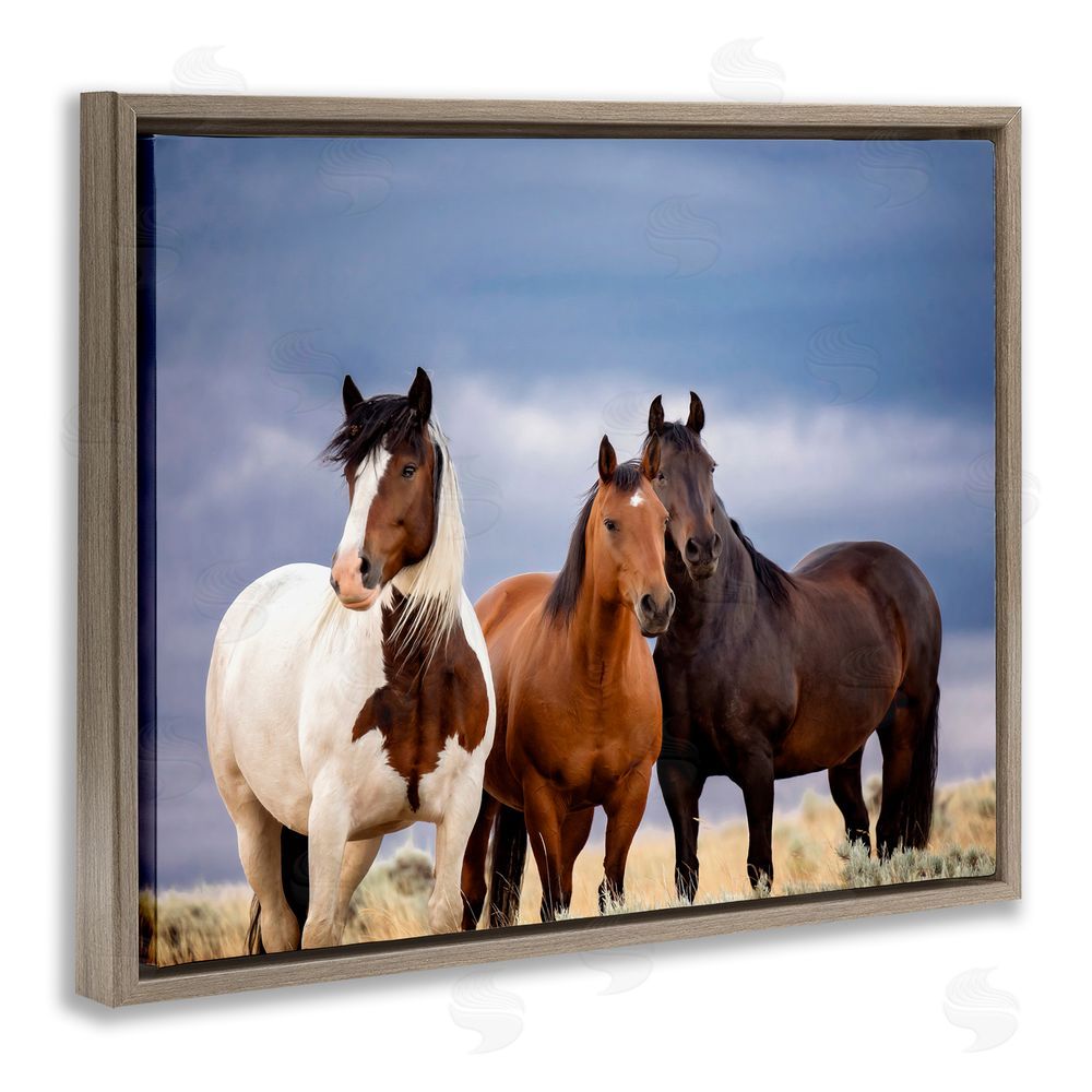 PH Burchett Horse Trio Under Clouds Brown Floating Frame Canvas Wall Art Print