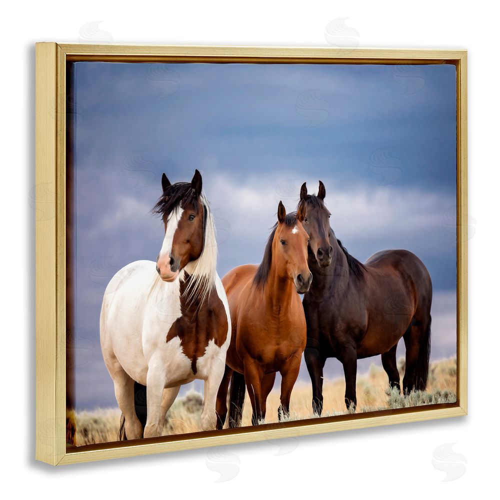 PH Burchett Horse Trio Under Clouds Gold Floating Frame Canvas Wall Art Print