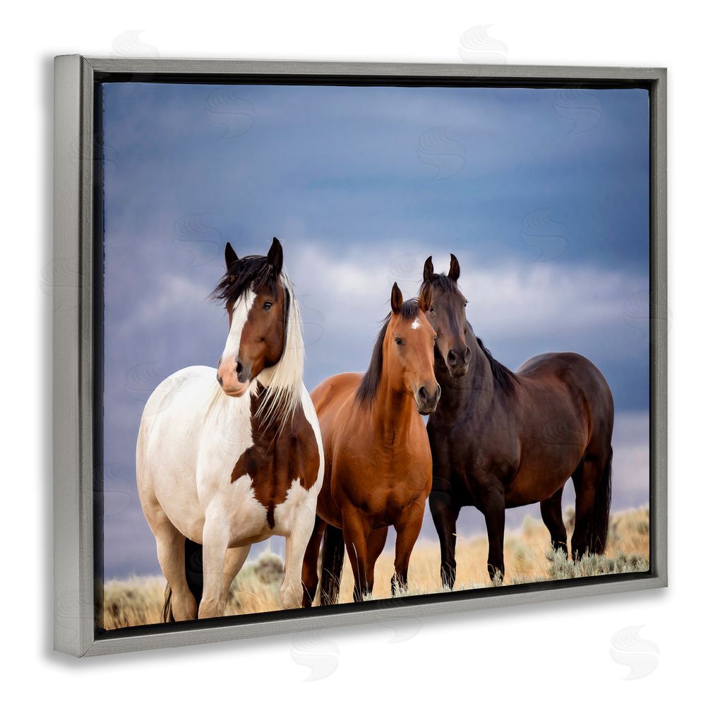 PH Burchett Horse Trio Under Clouds Grey Floating Frame Canvas Wall Art Print