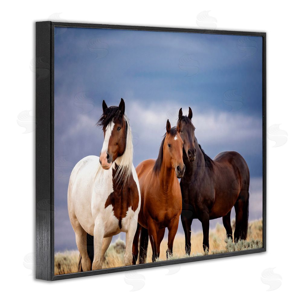 PH Burchett Horse Trio Under Clouds Black Framed Giclee Wall Art Print
