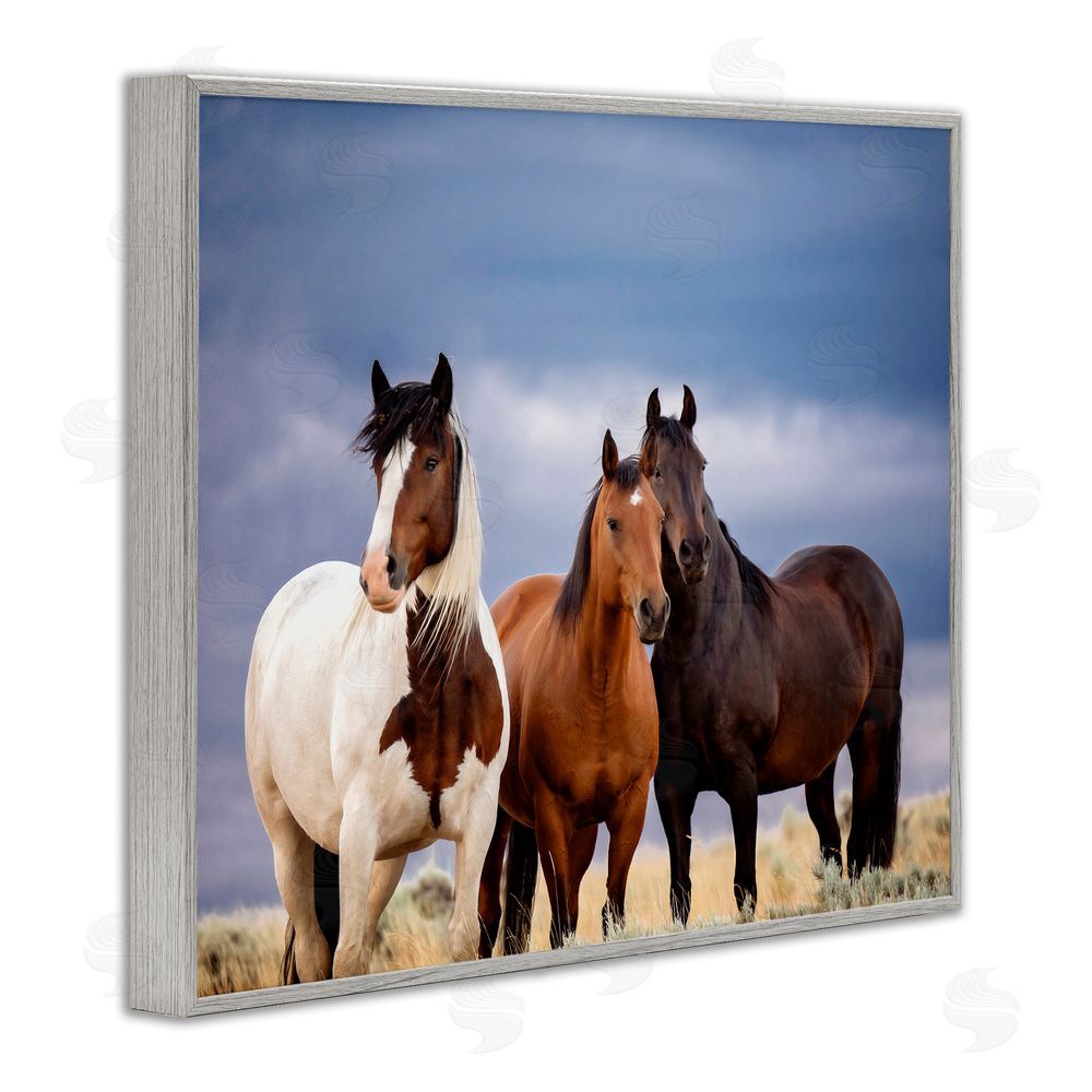 PH Burchett Horse Trio Under Clouds Gray Framed Giclee Wall Art Print
