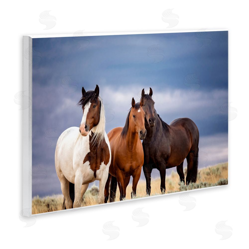 PH Burchett Horse Trio Under Clouds Wall Plaque Art Print