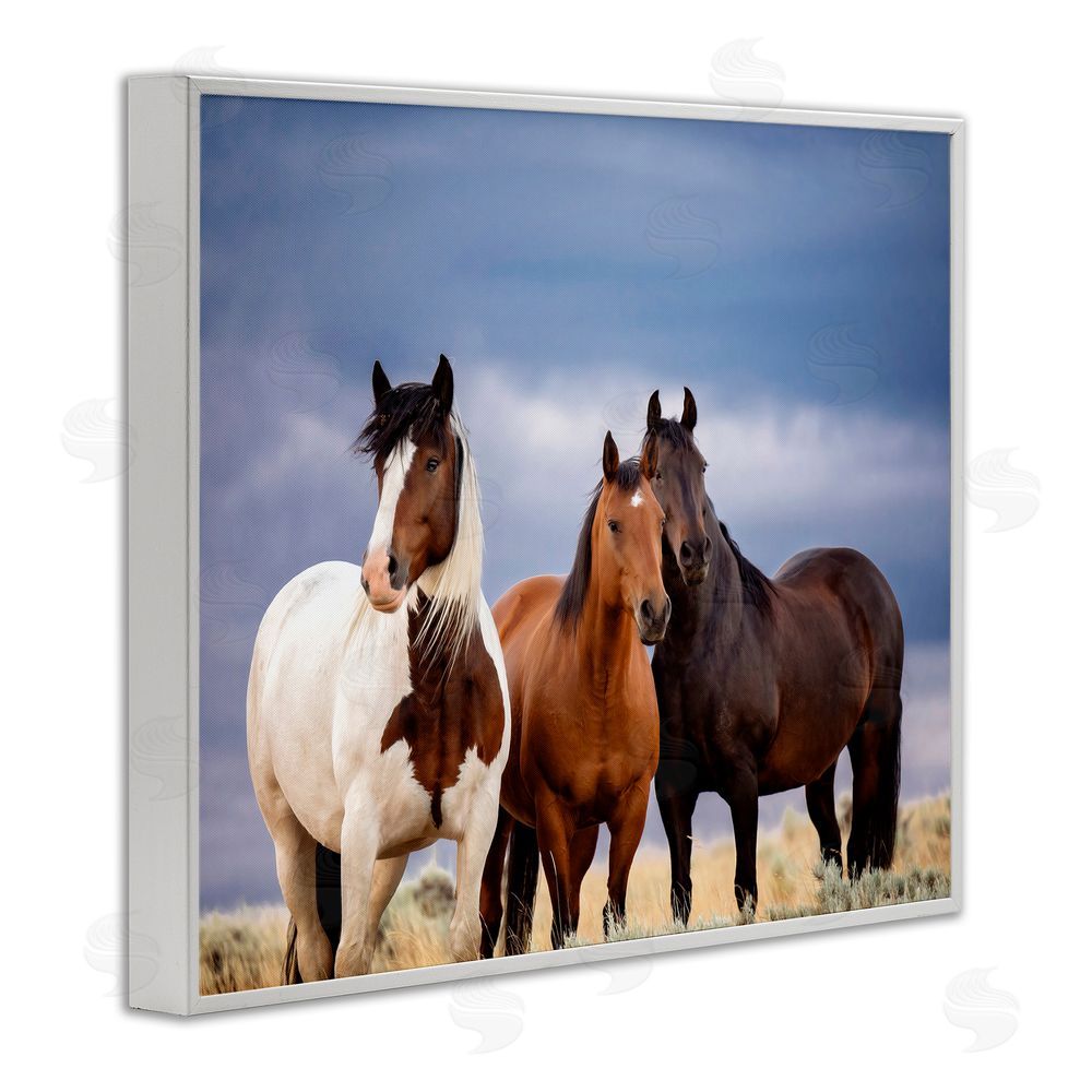 PH Burchett Horse Trio Under Clouds White Framed Giclee Wall Art Print