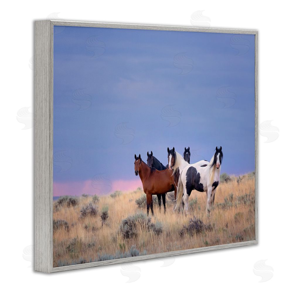 PH Burchett Country Horses in Meadow Gray Framed Giclee Wall Art Print
