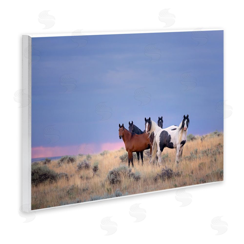 PH Burchett Country Horses in Meadow Wall Plaque Art Print