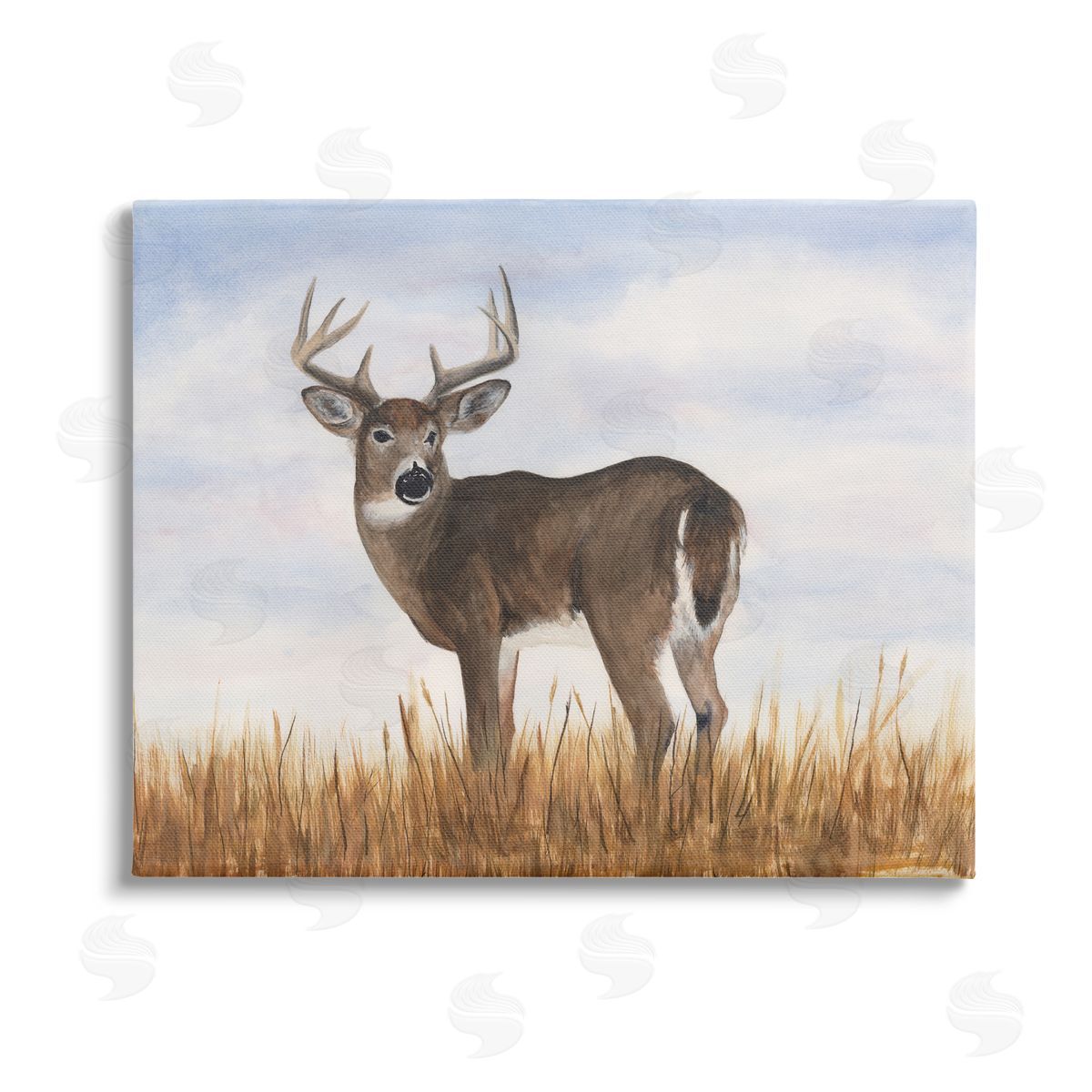 Michael Willett Deer in Country Grass Stretched Canvas Wall Art Print