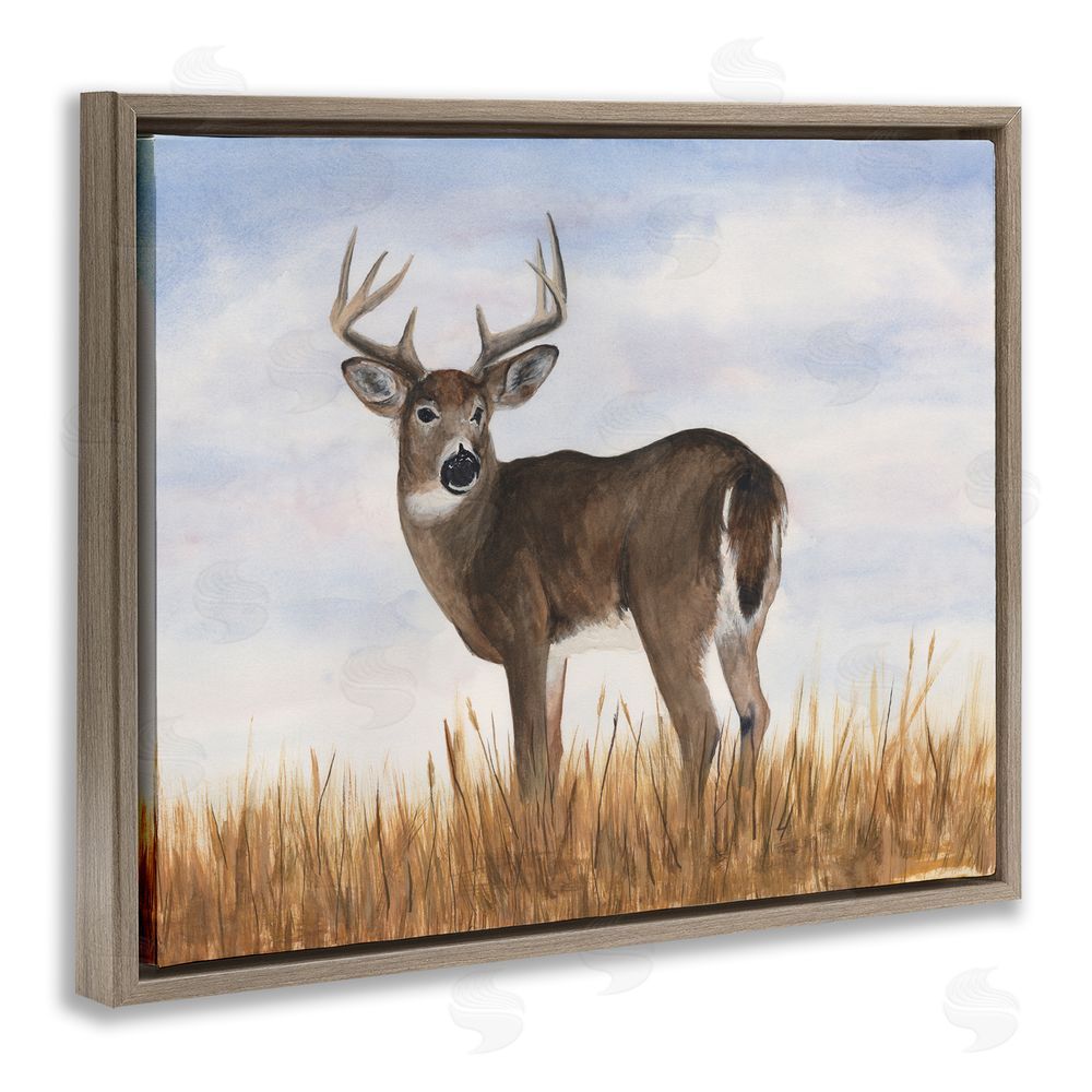 Michael Willett Deer in Country Grass Brown Floating Frame Canvas Wall Art Print
