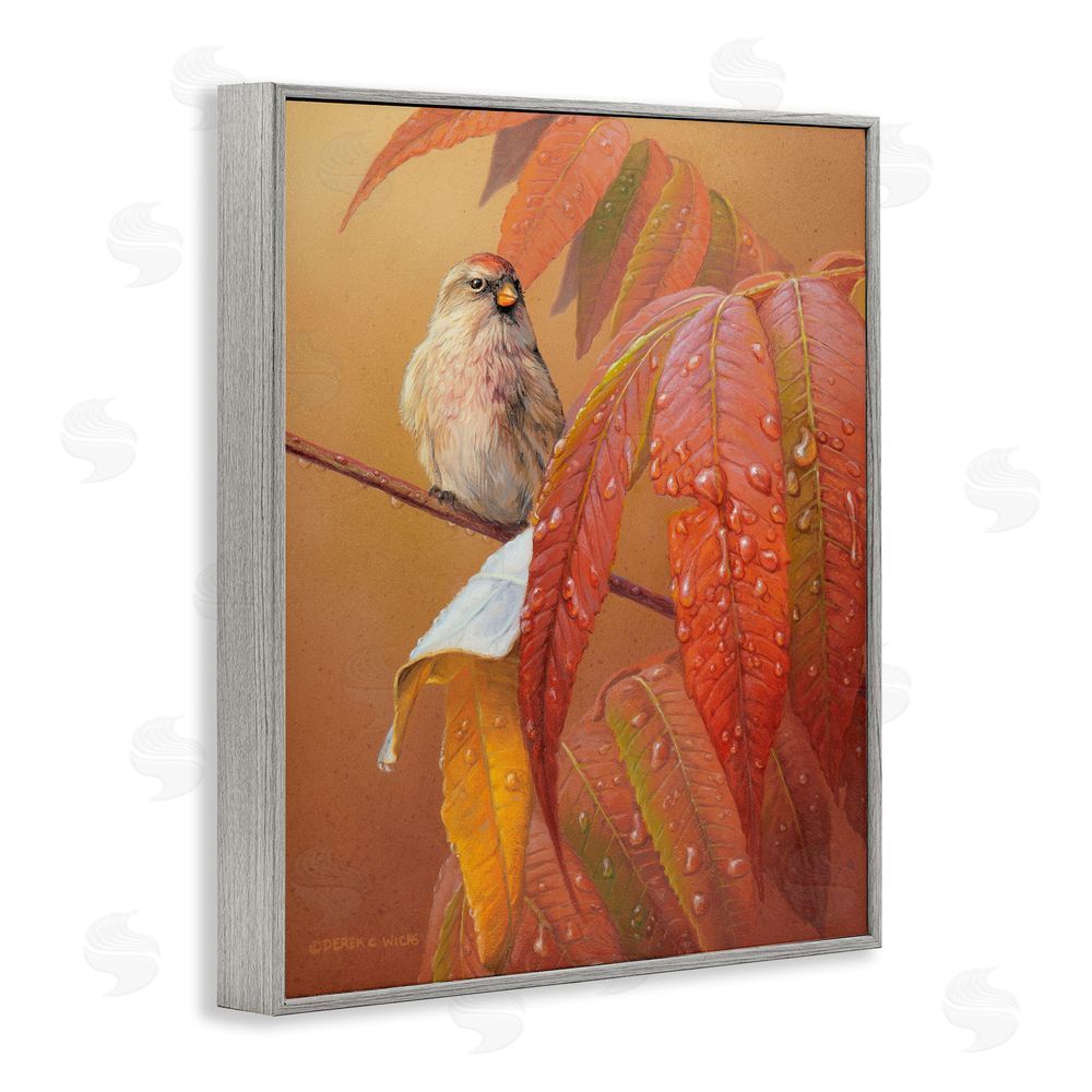 Derek Wicks Bird on Autumnal Branch Gray Framed Giclee Wall Art Print