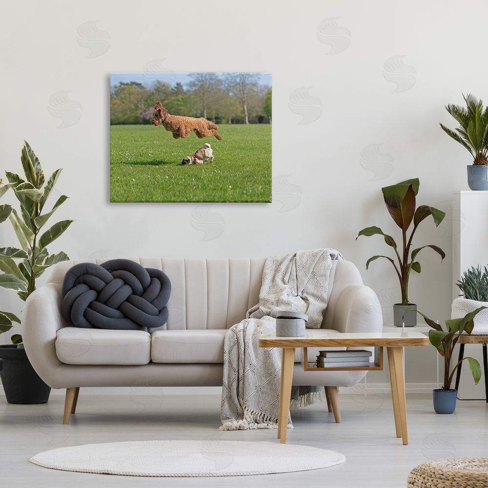 Gill Woodcock Jumping Dogs in Field Canvas Wall Art Print in Room