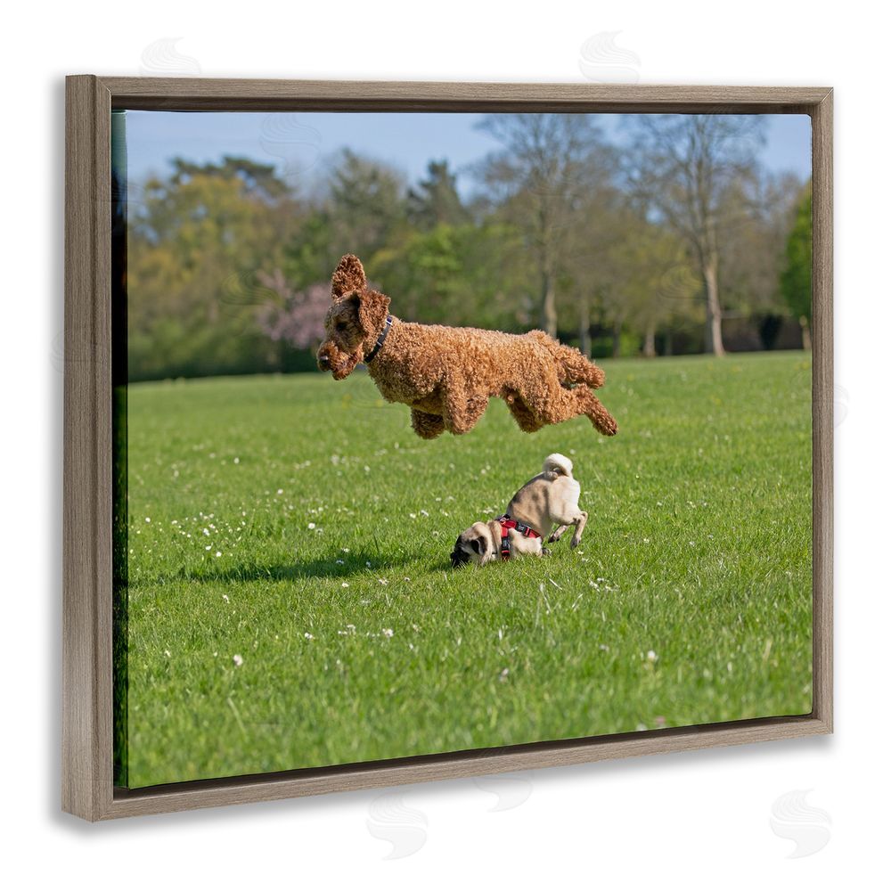 Gill Woodcock Jumping Dogs in Field Brown Floating Frame Canvas Wall Art Print