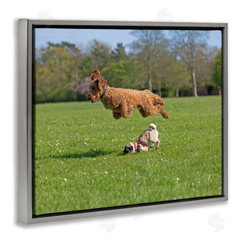 Gill Woodcock Jumping Dogs in Field Grey Floating Frame Canvas Wall Art Print