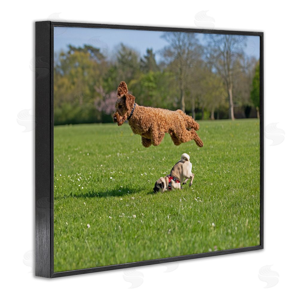 Gill Woodcock Jumping Dogs in Field Black Framed Giclee Wall Art Print