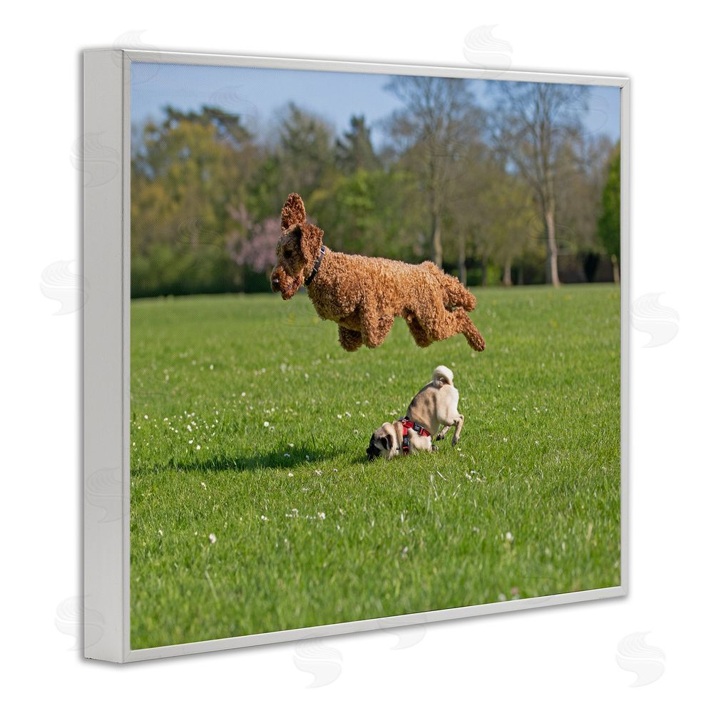 Gill Woodcock Jumping Dogs in Field White Framed Giclee Wall Art Print
