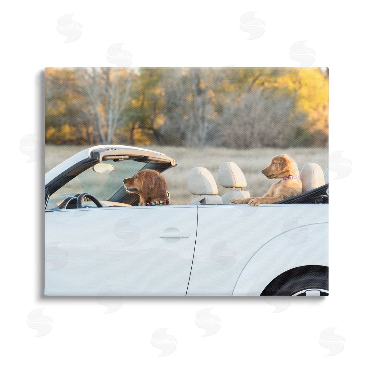 Karen Hoglund Dogs Driving Convertible Stretched Canvas Wall Art Print