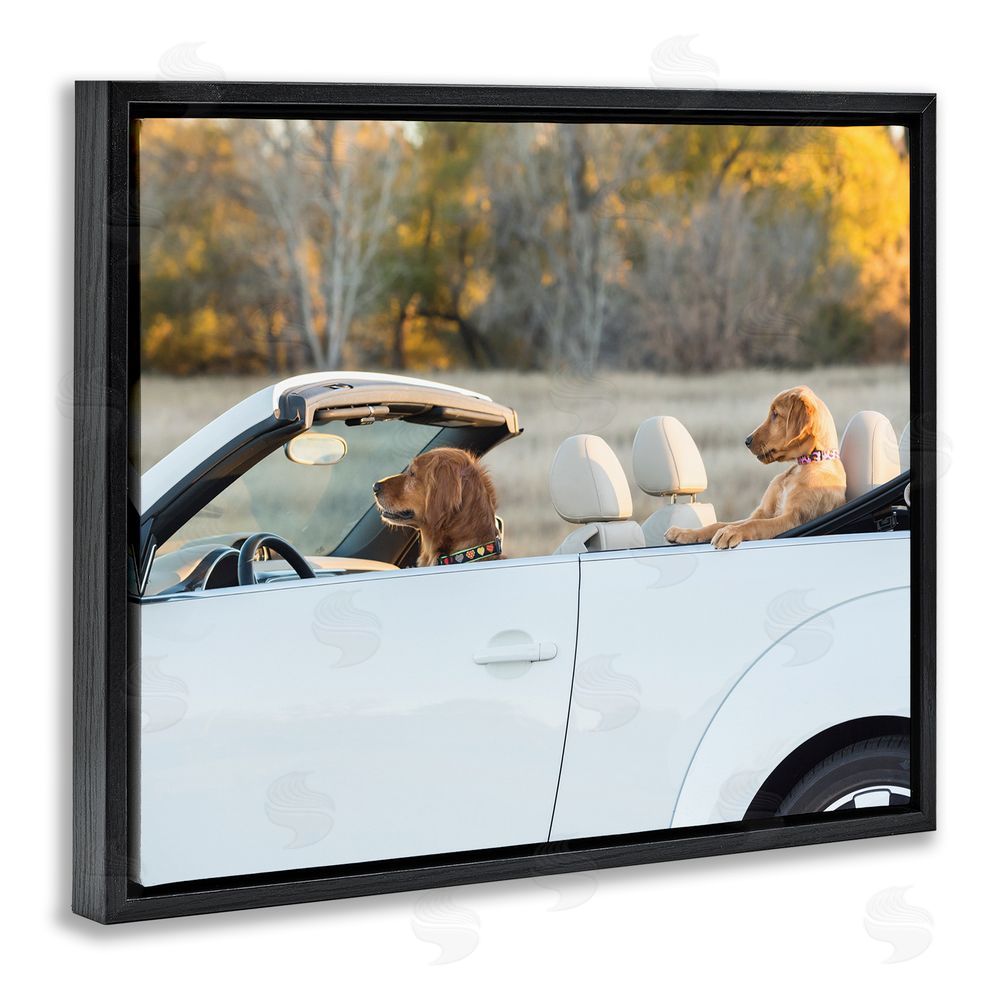 Karen Hoglund Dogs Driving Convertible Black Floating Frame Canvas Wall Art Print