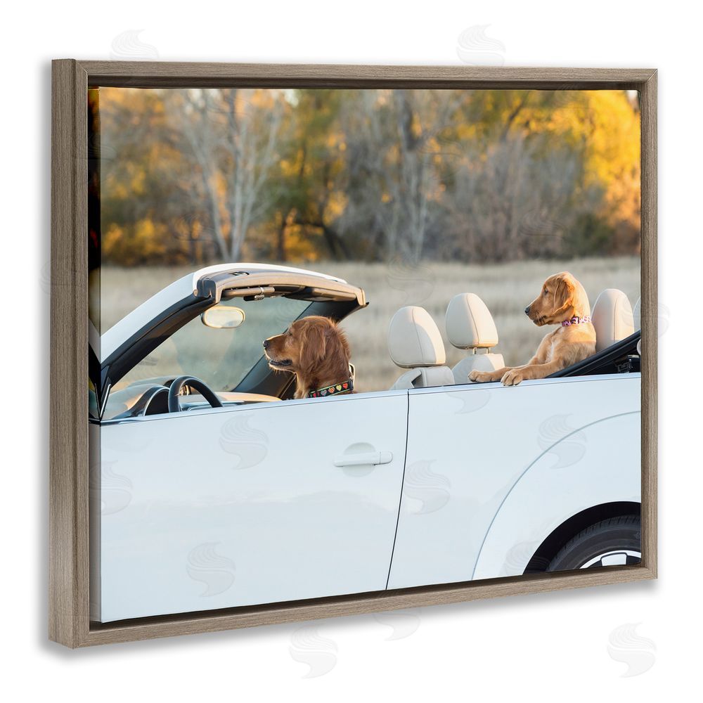 Karen Hoglund Dogs Driving Convertible Brown Floating Frame Canvas Wall Art Print