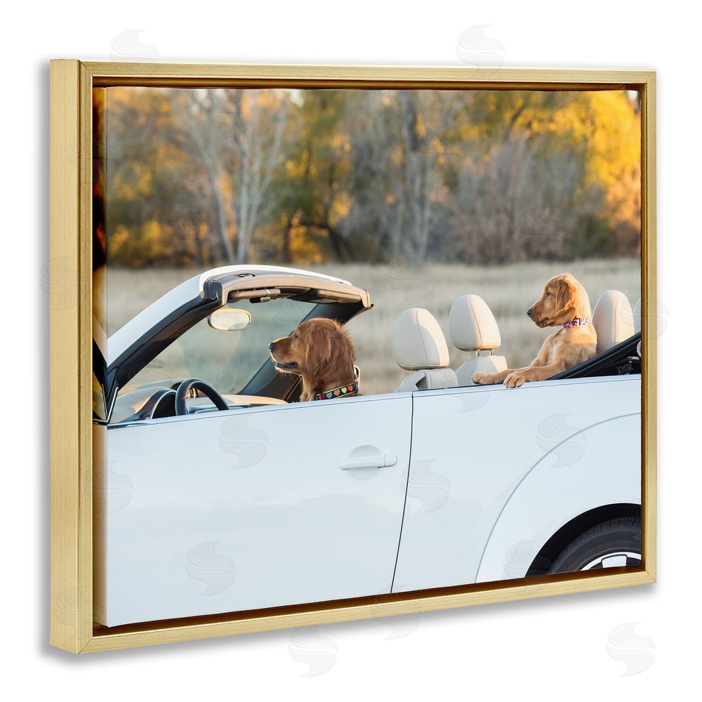 Karen Hoglund Dogs Driving Convertible Gold Floating Frame Canvas Wall Art Print