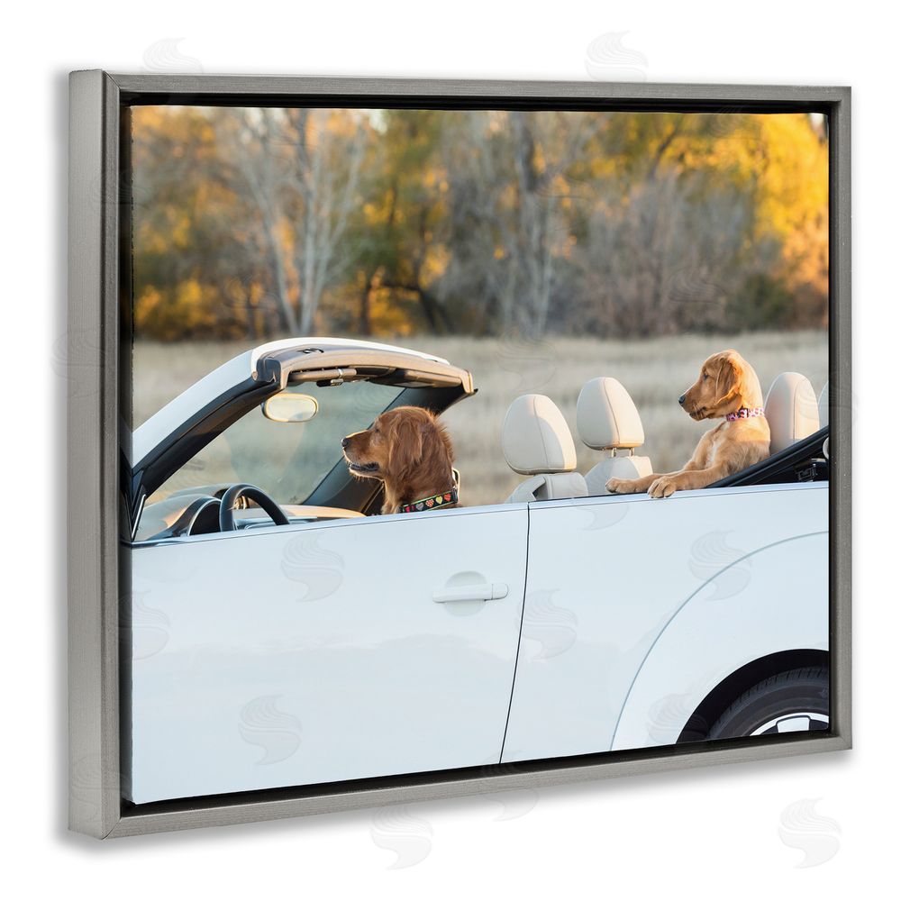 Karen Hoglund Dogs Driving Convertible Grey Floating Frame Canvas Wall Art Print