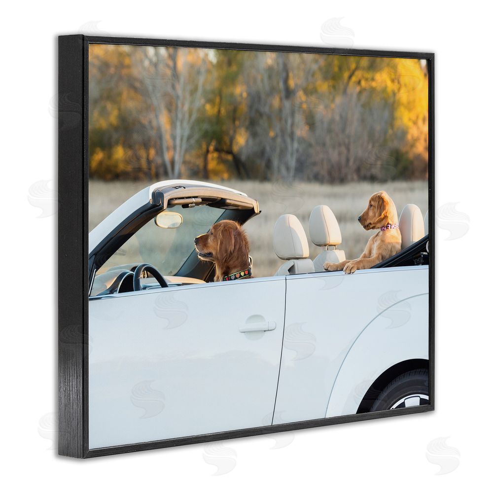 Karen Hoglund Dogs Driving Convertible Black Framed Giclee Wall Art Print