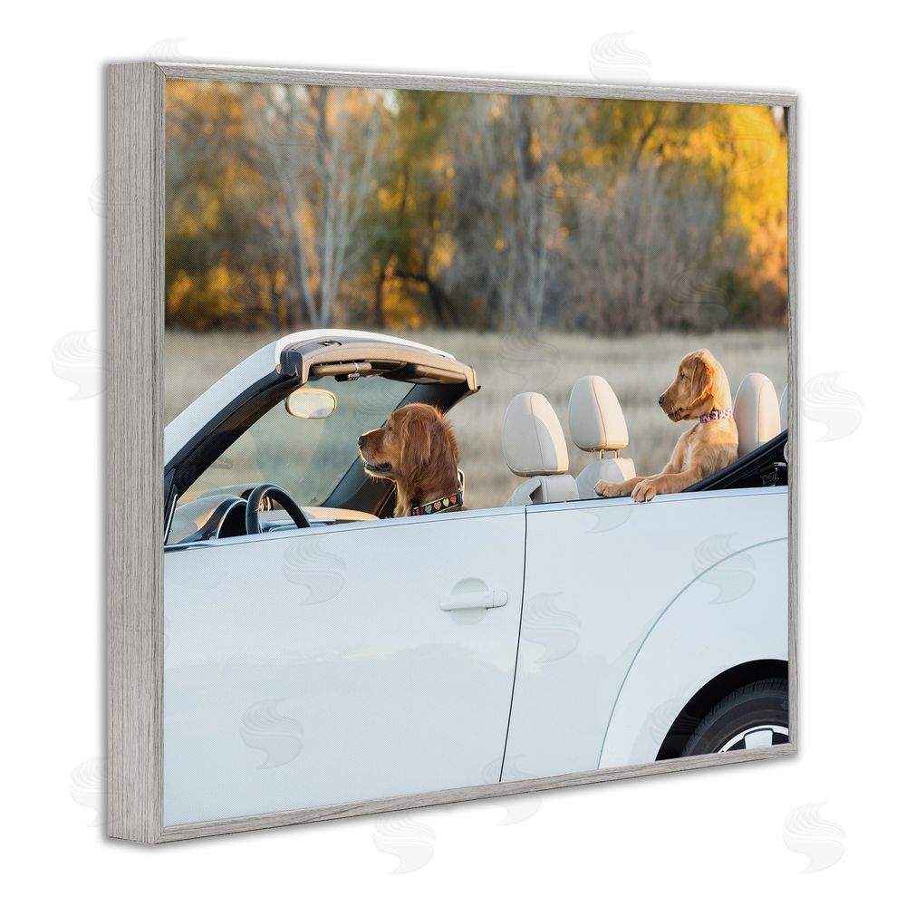 Karen Hoglund Dogs Driving Convertible Gray Framed Giclee Wall Art Print