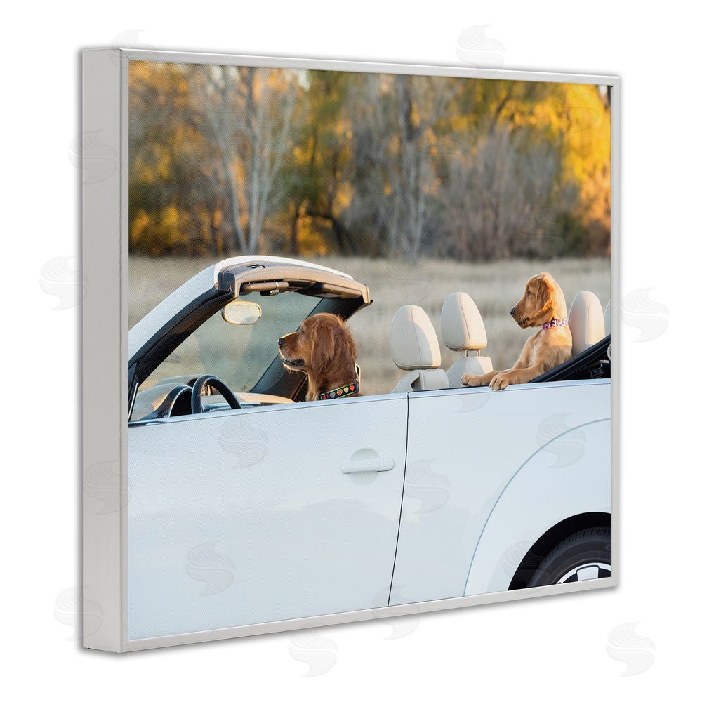 Karen Hoglund Dogs Driving Convertible White Framed Giclee Wall Art Print