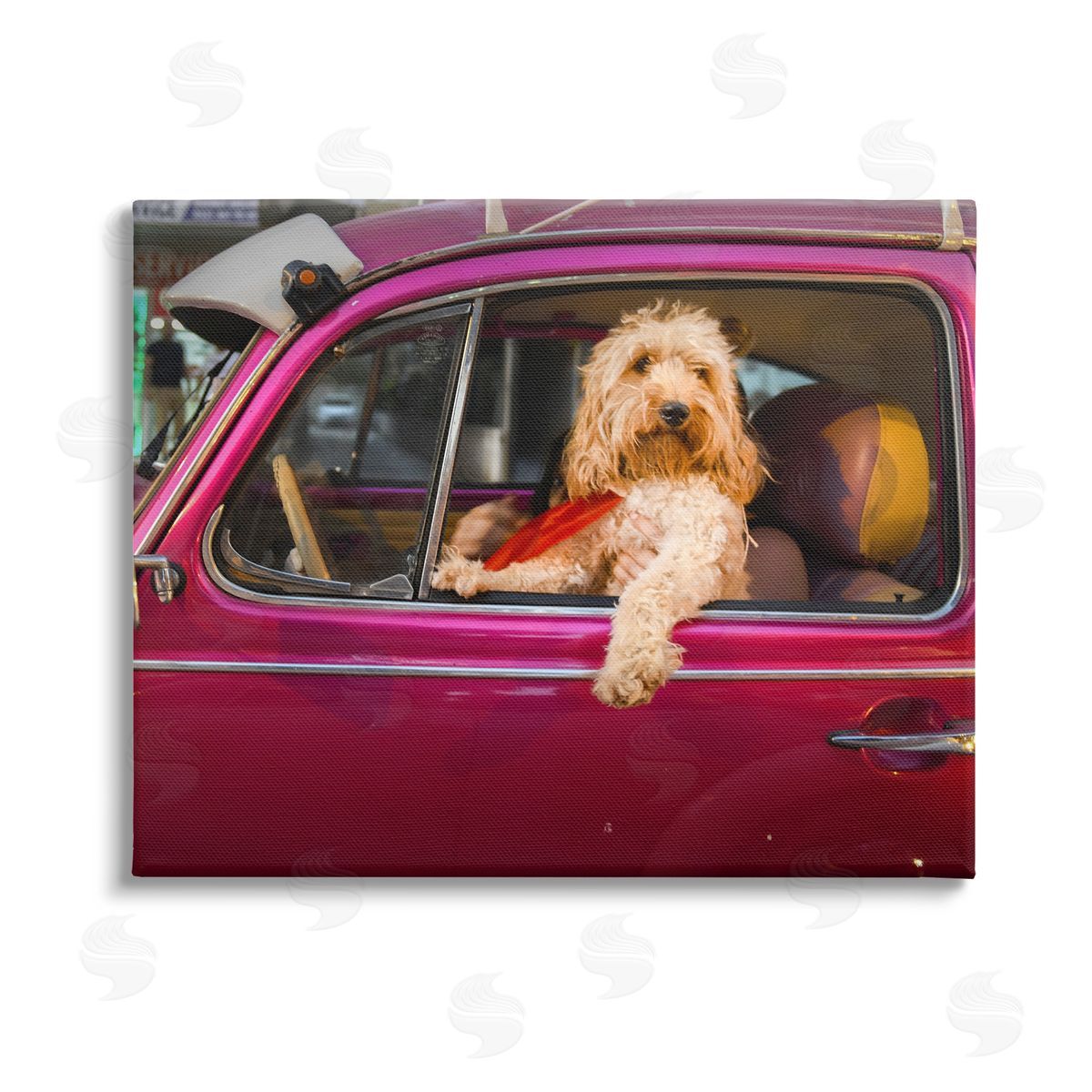 Mehmet Asian Funny Chauffeur Dog Stretched Canvas Wall Art Print