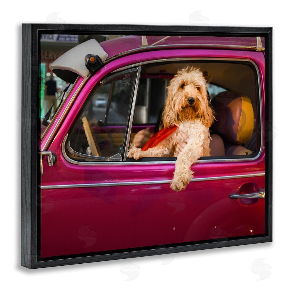 Mehmet Asian Funny Chauffeur Dog Black Floating Frame Canvas Wall Art Print
