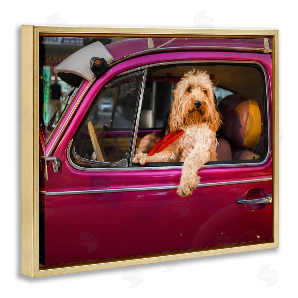 Mehmet Asian Funny Chauffeur Dog Gold Floating Frame Canvas Wall Art Print