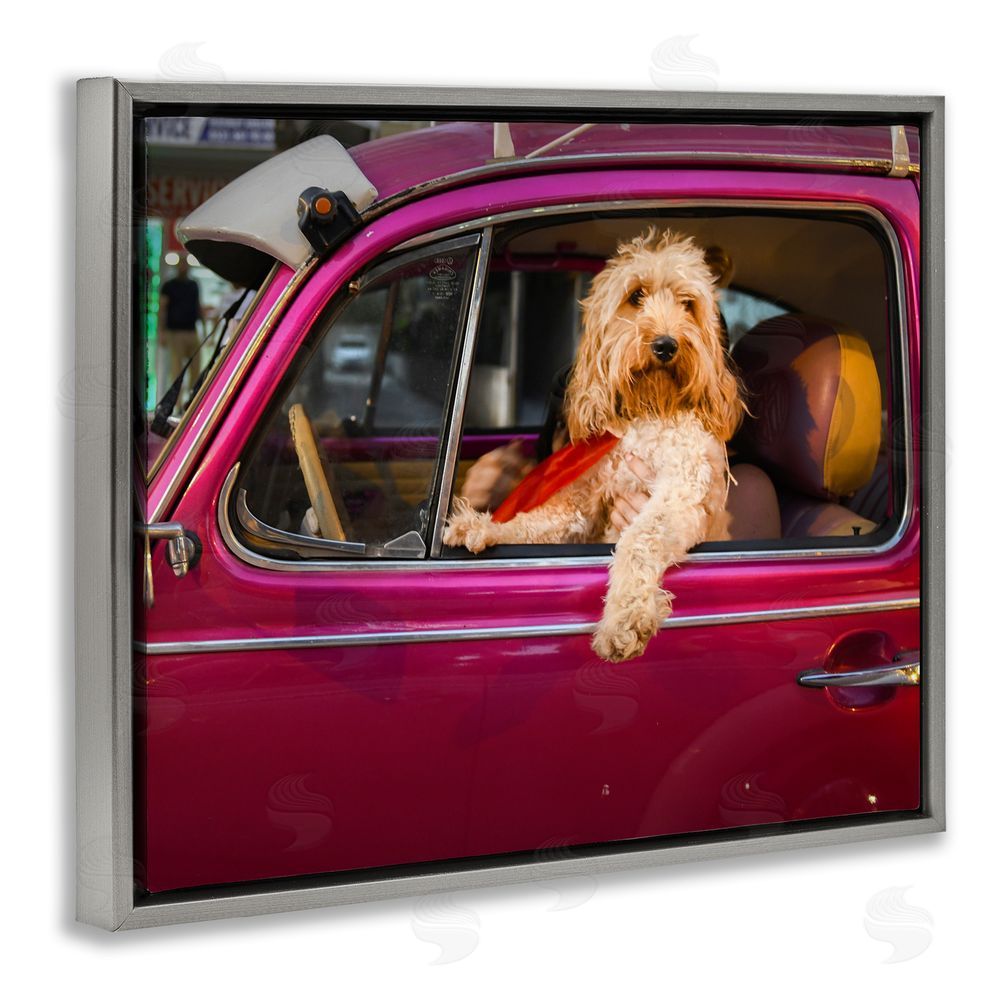 Mehmet Asian Funny Chauffeur Dog Grey Floating Frame Canvas Wall Art Print