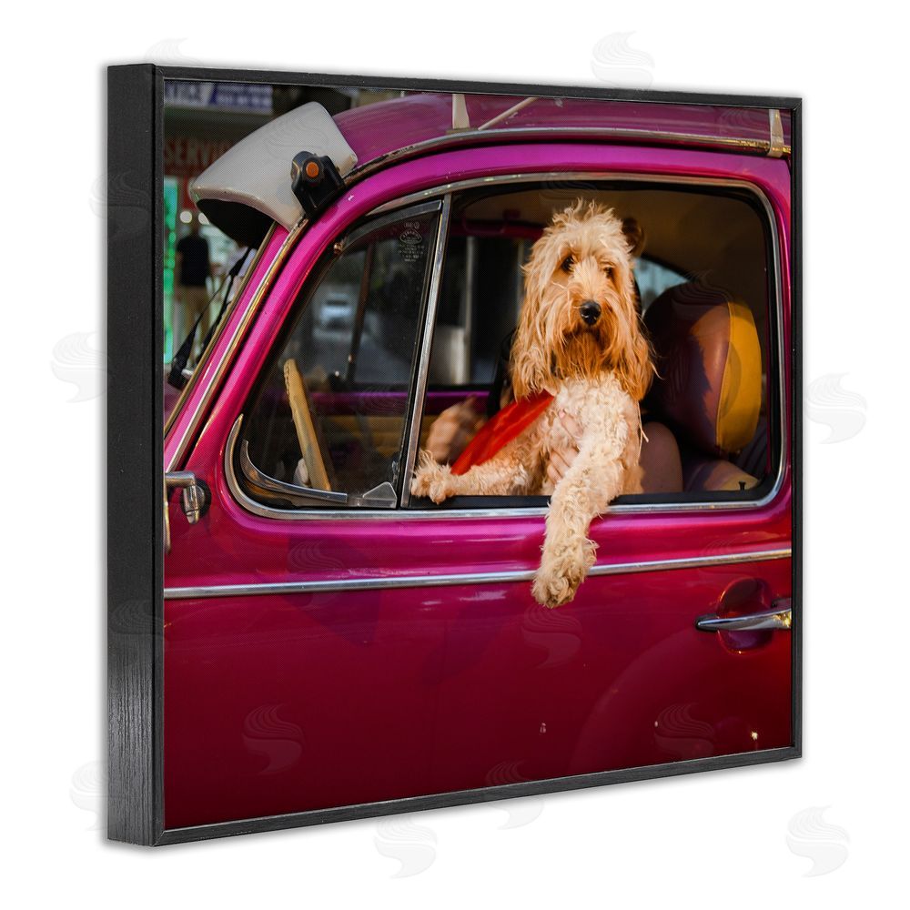 Mehmet Asian Funny Chauffeur Dog Black Framed Giclee Wall Art Print
