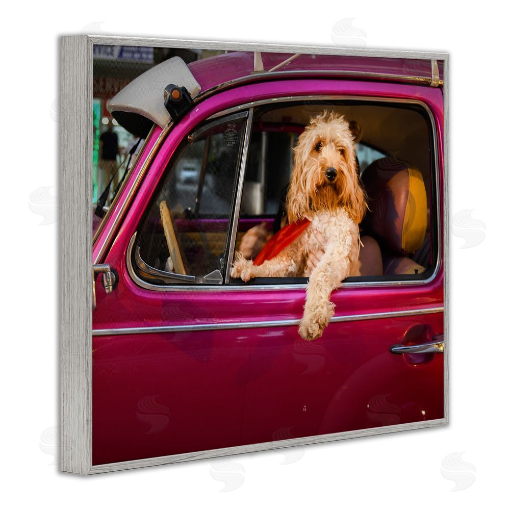 Mehmet Asian Funny Chauffeur Dog Gray Framed Giclee Wall Art Print