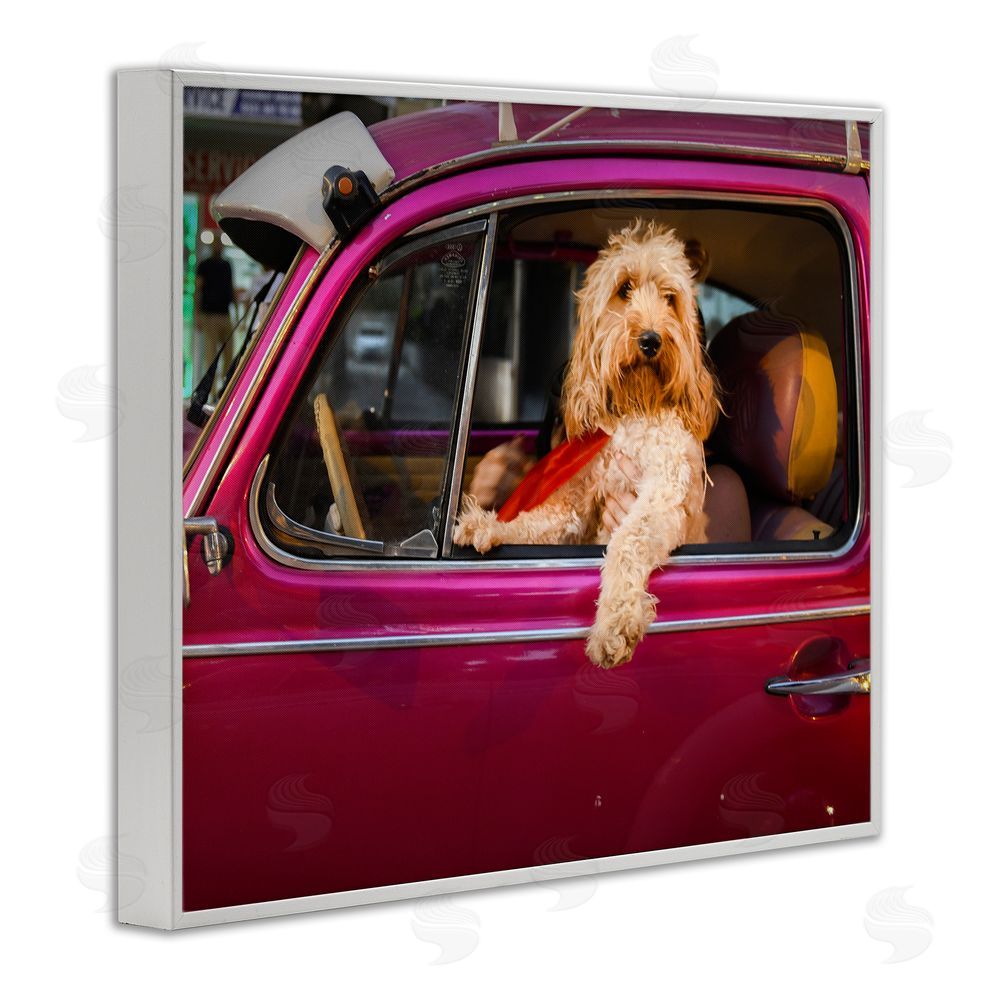 Mehmet Asian Funny Chauffeur Dog White Framed Giclee Wall Art Print