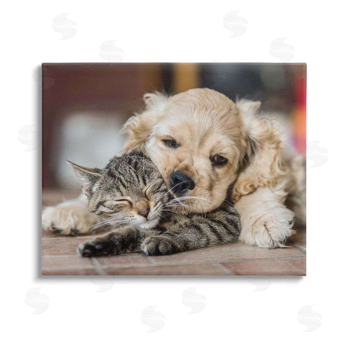 Peter Cech Cat & Puppy Cuddling Stretched Canvas Wall Art Print