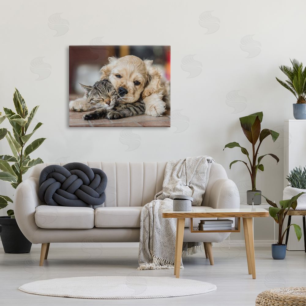 Peter Cech Cat & Puppy Cuddling Canvas Wall Art Print in Room
