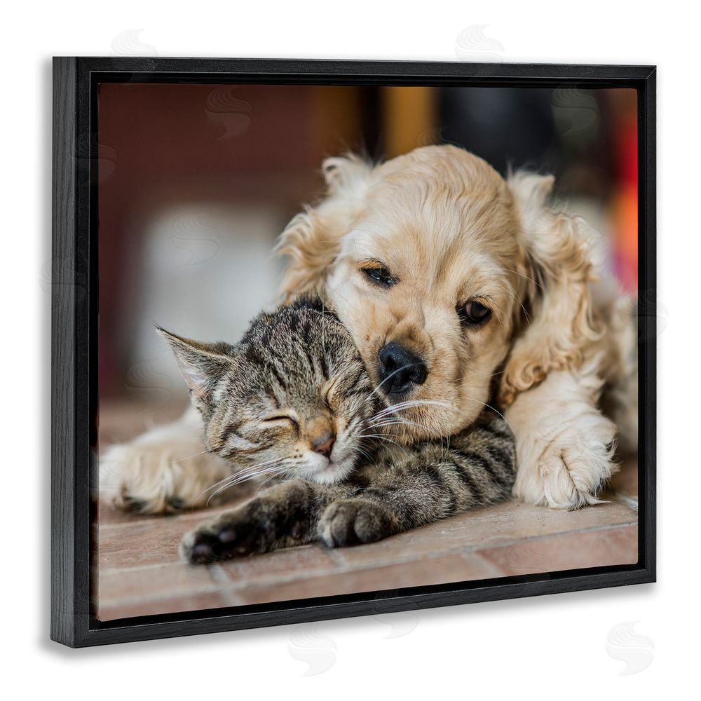 Peter Cech Cat & Puppy Cuddling Black Floating Frame Canvas Wall Art Print