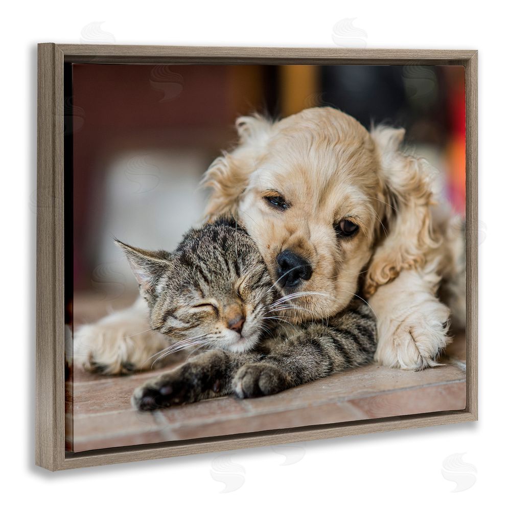 Peter Cech Cat & Puppy Cuddling Brown Floating Frame Canvas Wall Art Print