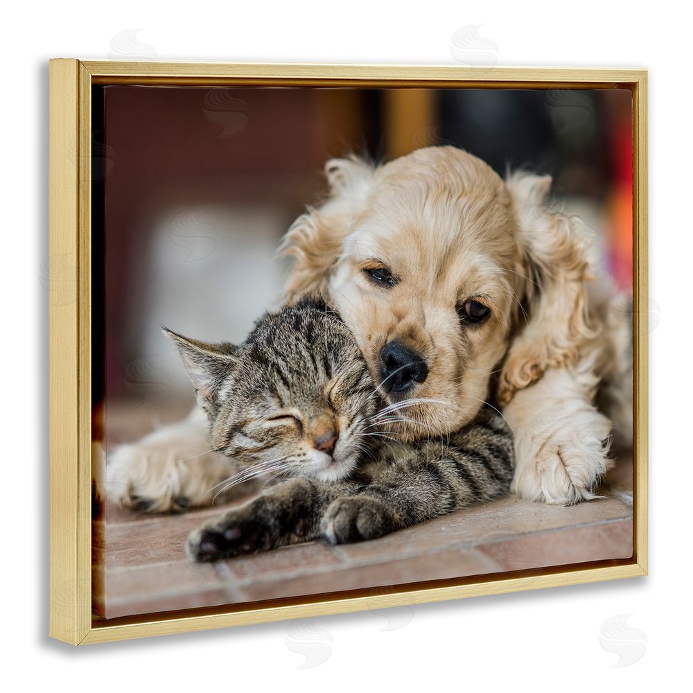 Peter Cech Cat & Puppy Cuddling Gold Floating Frame Canvas Wall Art Print