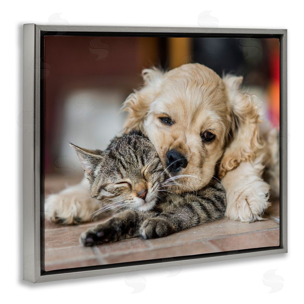 Peter Cech Cat & Puppy Cuddling Grey Floating Frame Canvas Wall Art Print