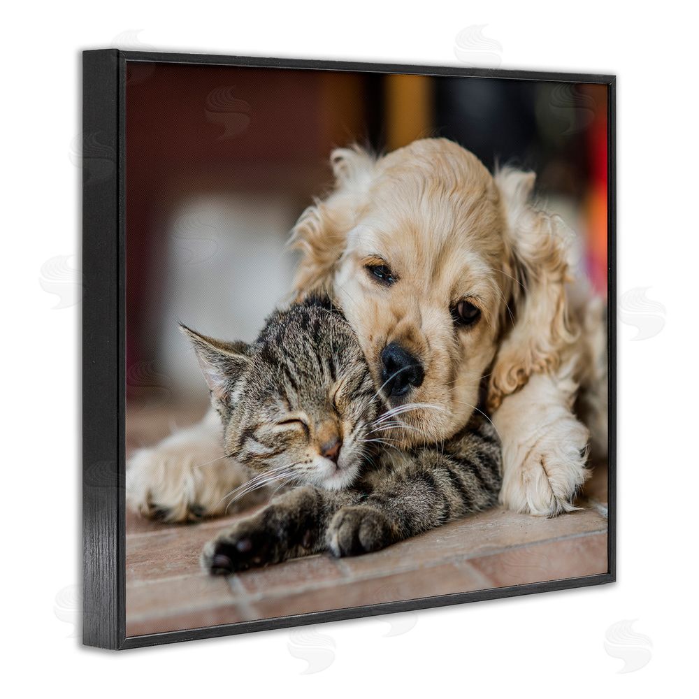 Peter Cech Cat & Puppy Cuddling Black Framed Giclee Wall Art Print