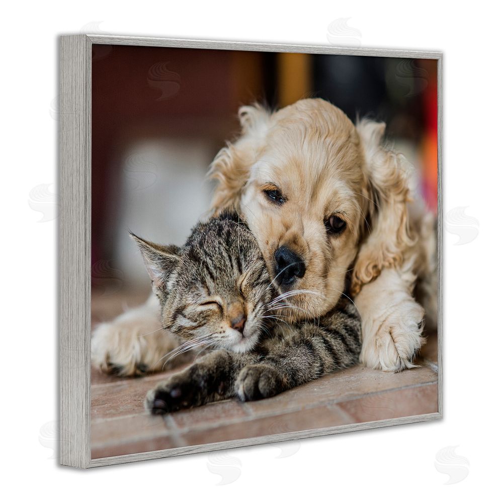 Peter Cech Cat & Puppy Cuddling Gray Framed Giclee Wall Art Print