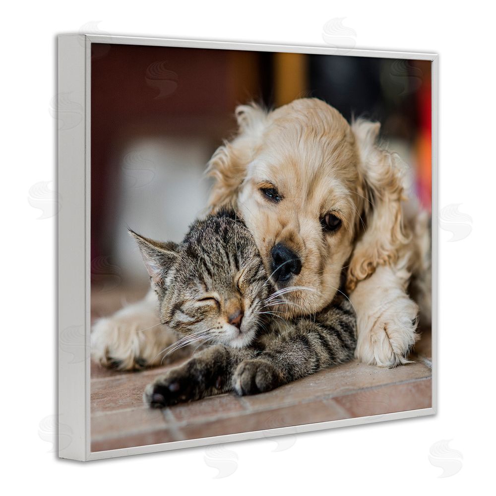 Peter Cech Cat & Puppy Cuddling White Framed Giclee Wall Art Print