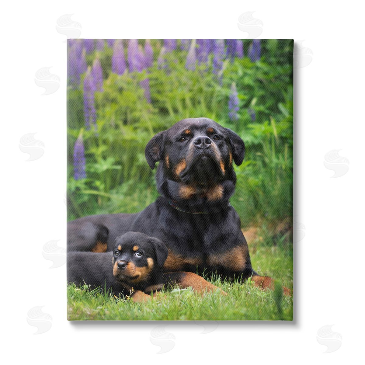 Darya Zelentsova Rott Puppies in Meadow Stretched Canvas Wall Art Print