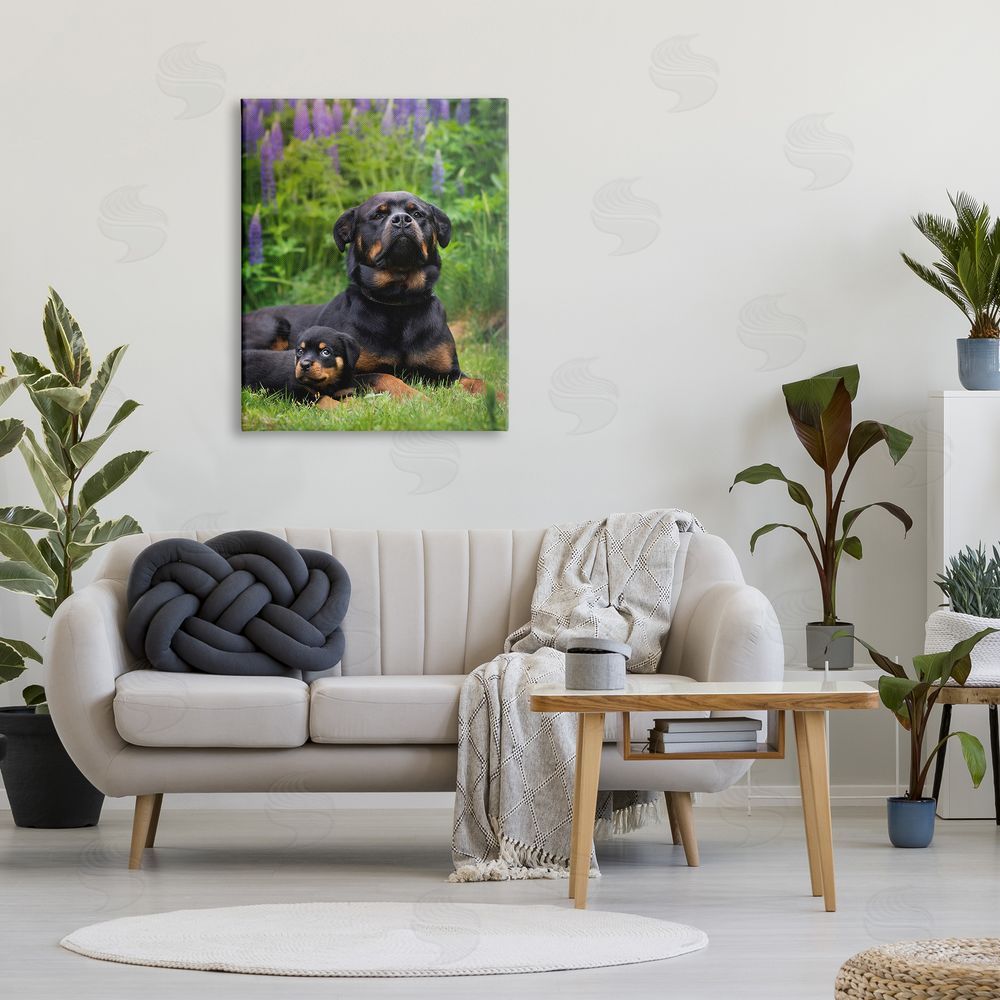 Darya Zelentsova Rott Puppies in Meadow Canvas Wall Art Print in Room
