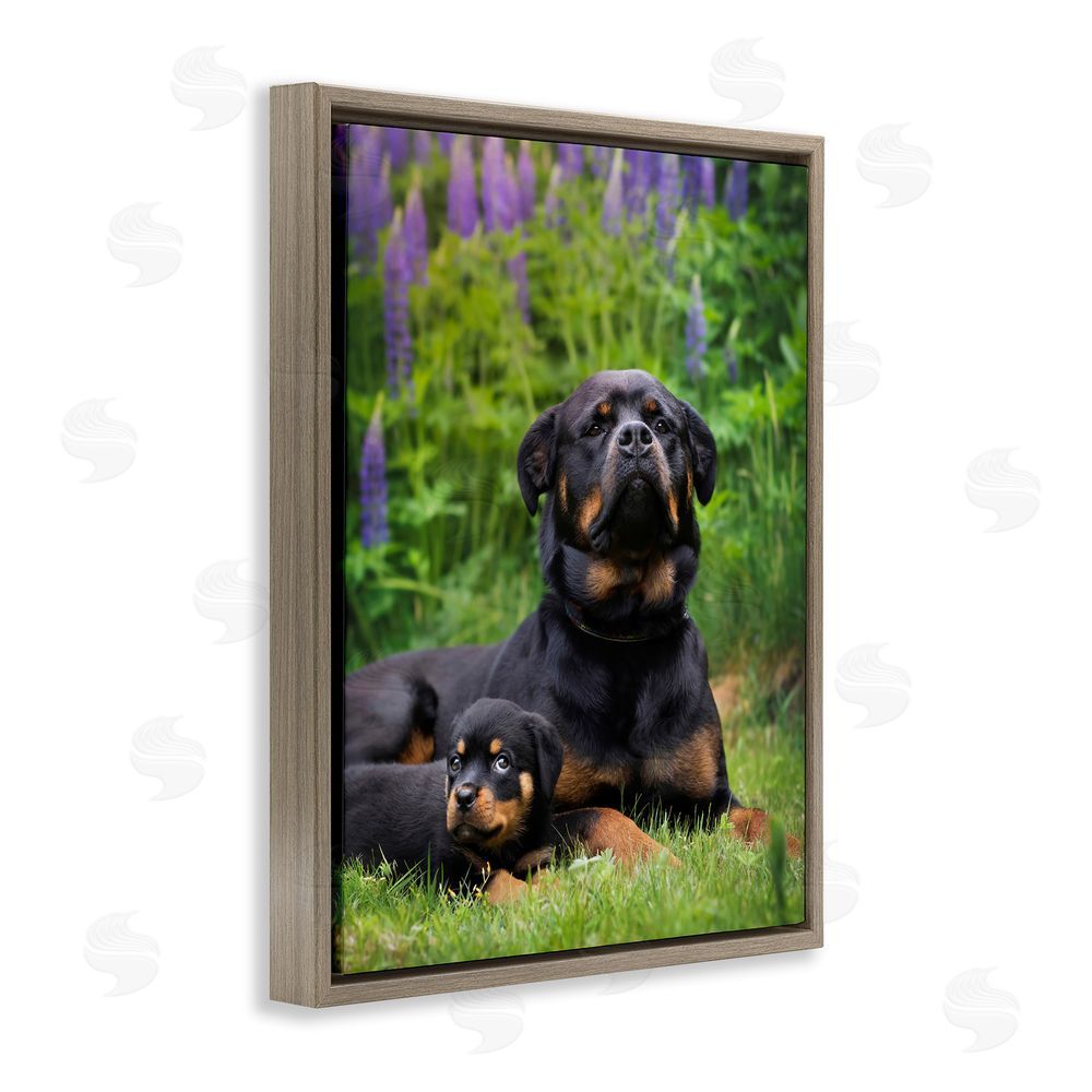 Darya Zelentsova Rott Puppies in Meadow Brown Floating Frame Canvas Wall Art Print