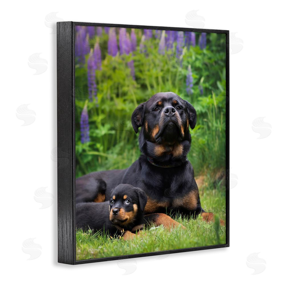 Darya Zelentsova Rott Puppies in Meadow Black Framed Giclee Wall Art Print